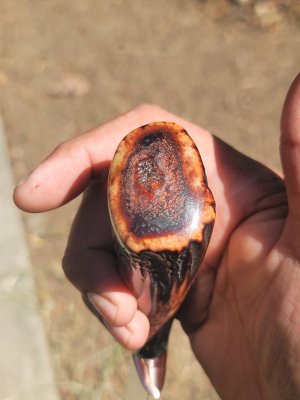 20260404_115502.jpg 20260404_115502.jpg