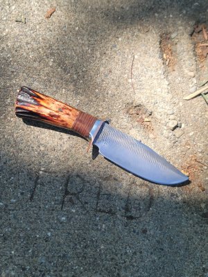 20260404_115247.jpg 20260404_115247.jpg