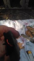 IMG_20160905_145938.jpg
