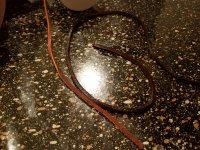 20180109_000059.jpg 20180109_000059.jpg