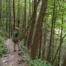 Penn_Bushcraft