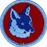 Wounded Fox