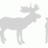 mooseyou