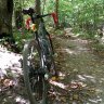 bikerector