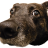 OMRebel
