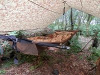 10x10 or 10x12 Tarp Which do you prefer Bushcraft USA Forums