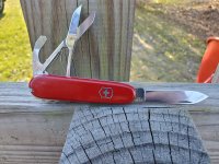 Victorinox 2024 golfer 84mm