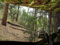 Recondo 1 Jungle Hammock System – LiteFighter