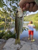  Aventik Z Tenkara Rods Pro IM12 Nano 6:4 Action 5