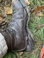 New Oboz hiking shoes to replace my Asolo 520s Bushcraft USA Forums